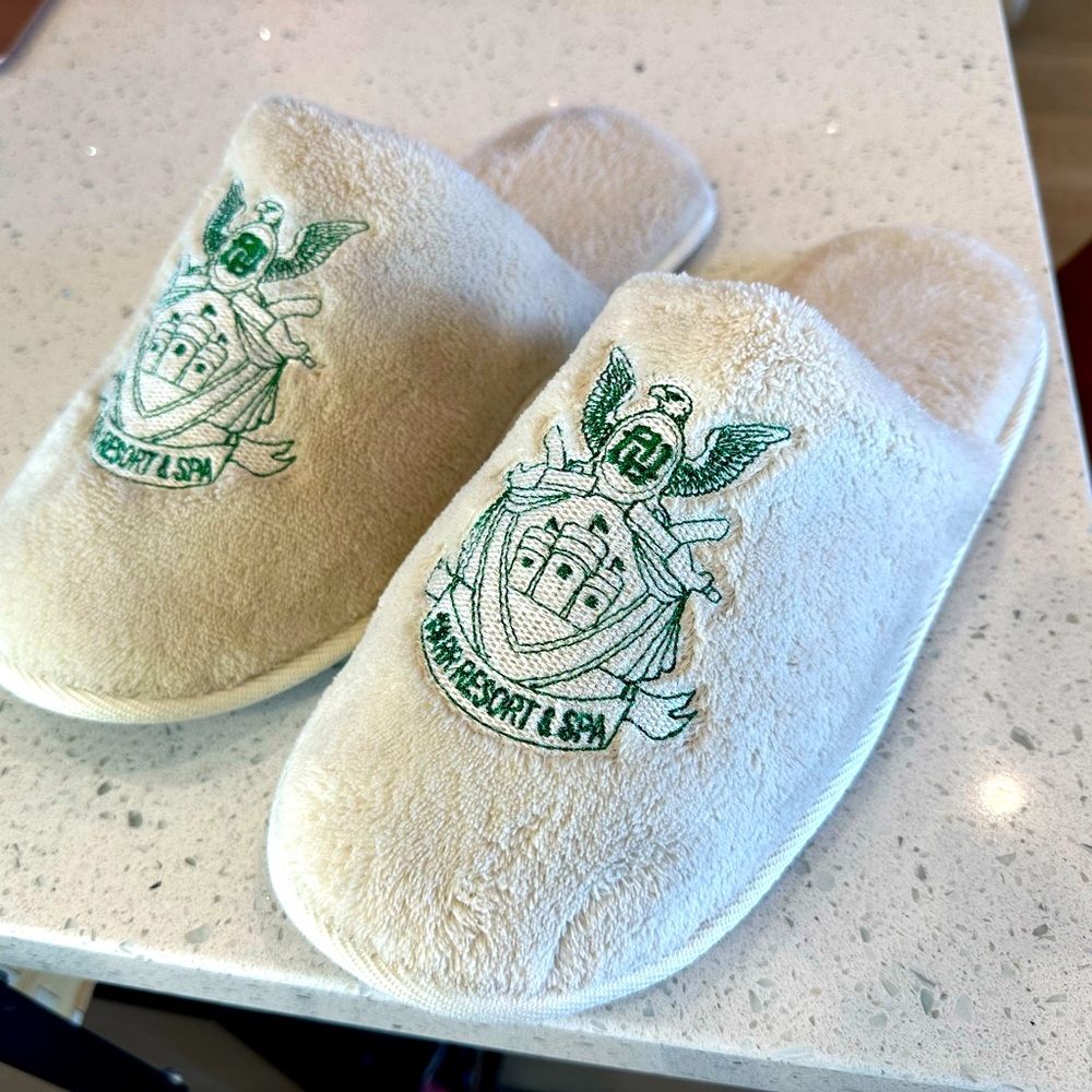 Really Rich Resort Slippers Size L (11/12) ✨LIKE NEW